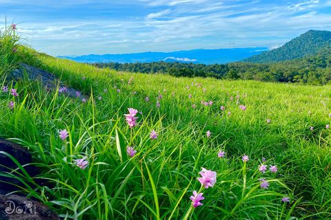 PhnomPenh: 2 giorni di trekking e campeggio sul monte Knang Phsar