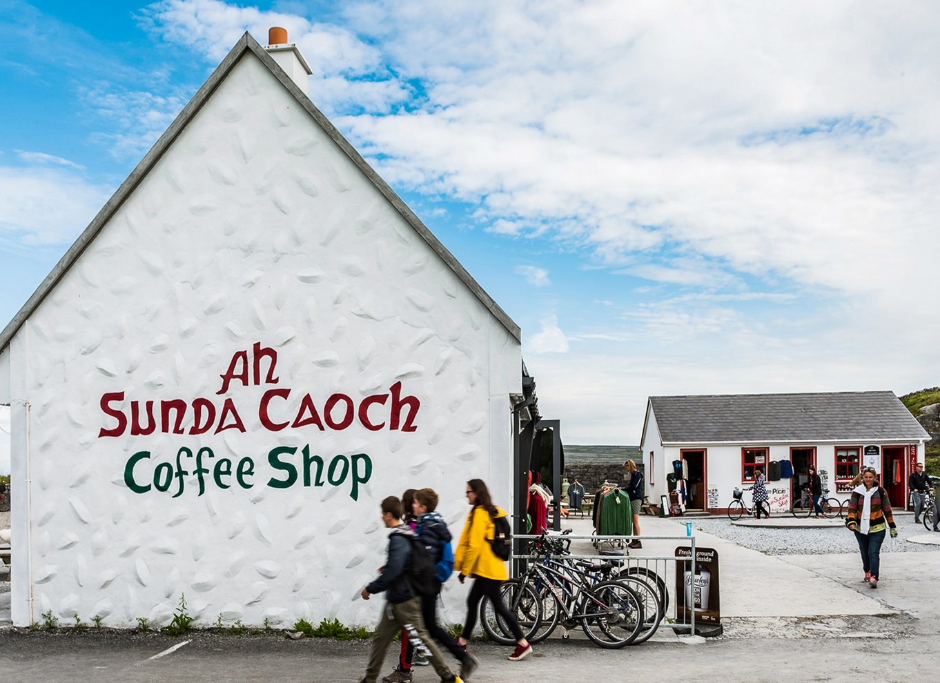 Fra Galway: Dagskrydstogt til Aran-øerne og Moher-klipperne