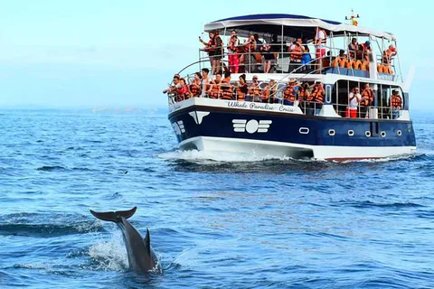 Mirissa Whale Watching, Tour Une expérience unique en son genre