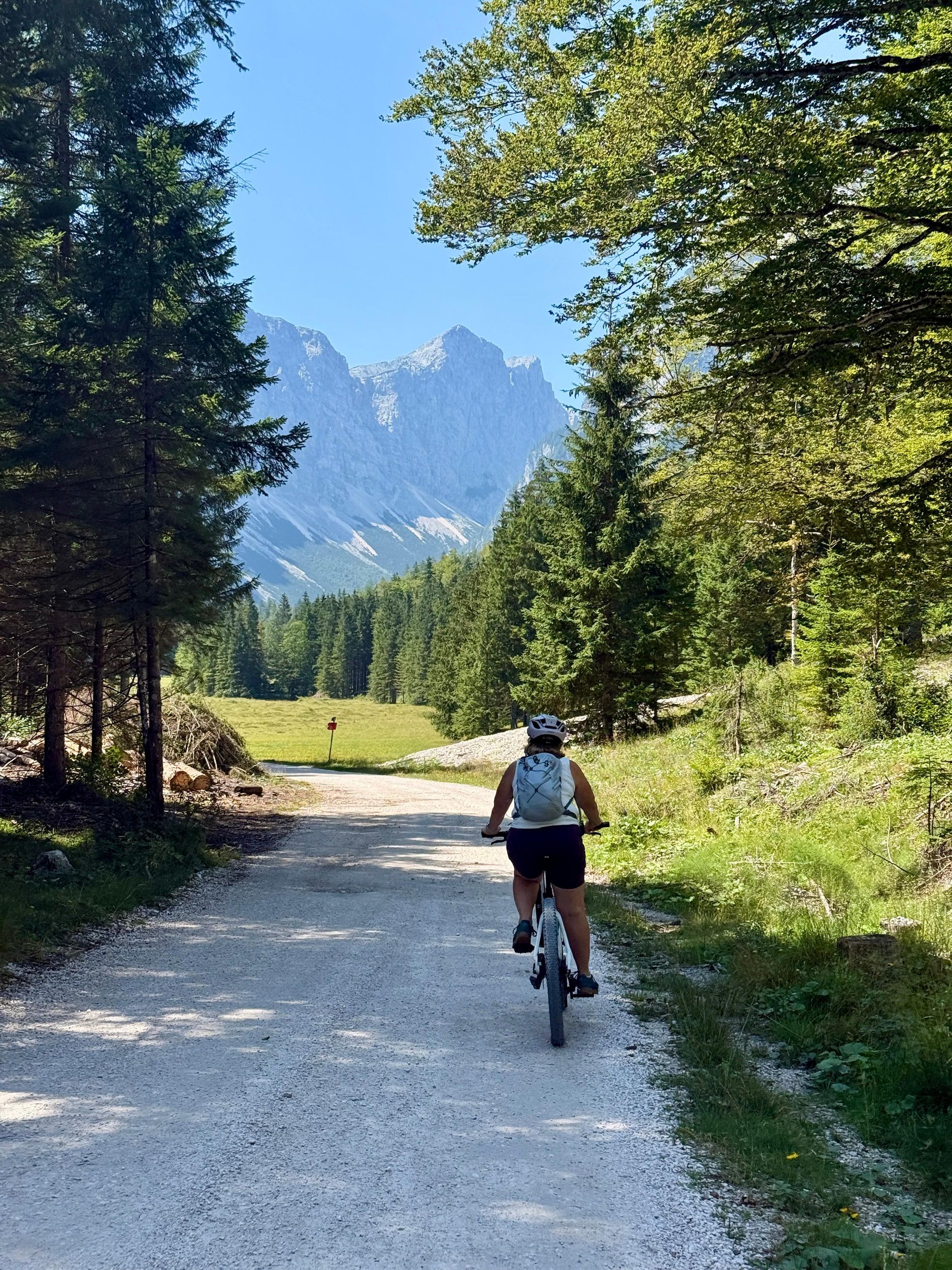 E-Bike Kranjska Gora: Private E-Bike-Tour durch die Julischen Alpen