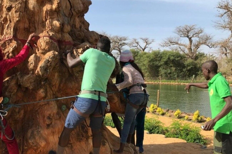 Les hauteurs du Baobab : S'envoler à travers la ligne d'horizon