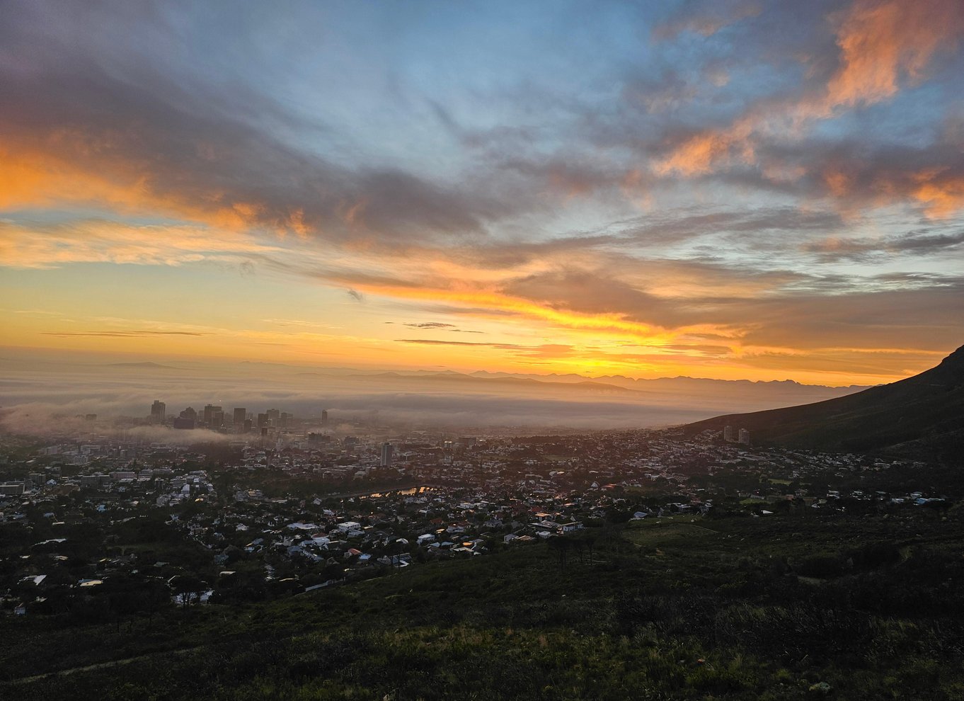 Cape Town: Vandring på Taffelbjerget med en ekspertguide