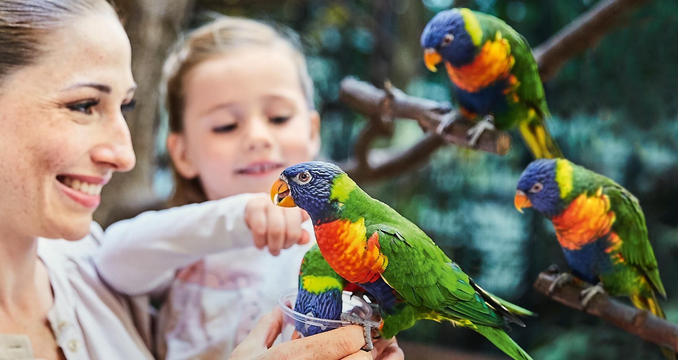 Tageseintritt Weltvogelpark Walsrode