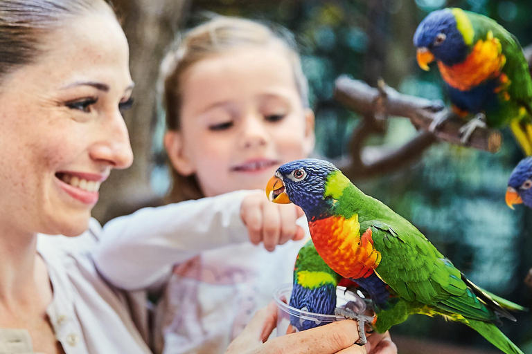 Full-day entrance to Weltvogelpark Walsrode
