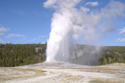 Yellowstone 2 Day Adventure - Upper and Lower Loop Tour