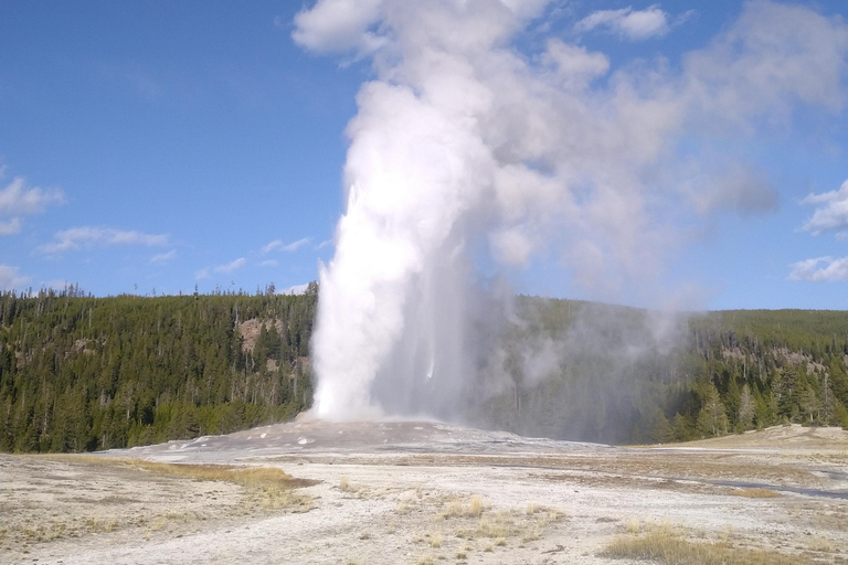 Yellowstone 2 Day Adventure - Upper and Lower Loop Tour