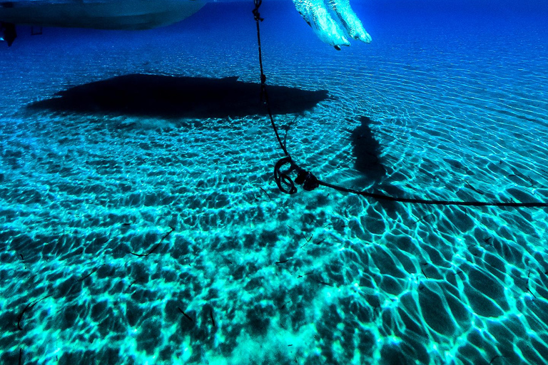 Mykonos: Prywatna wycieczka katamaranem o poranku lub o zachodzie słońca