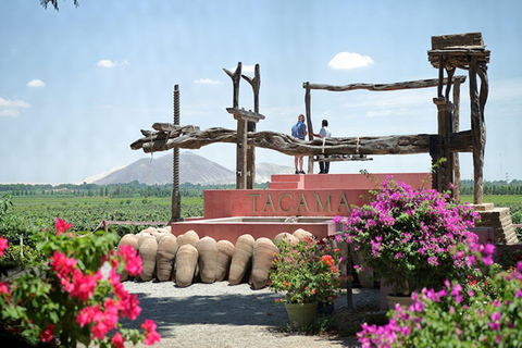 Ica: Pisco Tacama Route, Arrabal, Lovera vingård