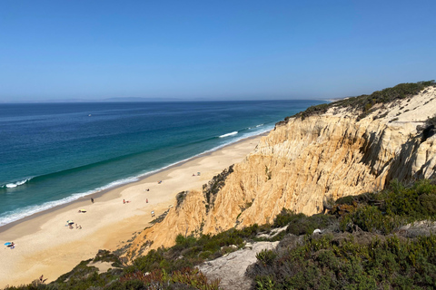 Del Algarve a Lisboa; Traslado guiado con extra ¡Guau!