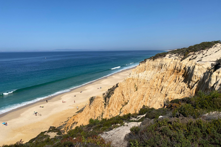 Del Algarve a Lisboa; Traslado guiado con extra ¡Guau!