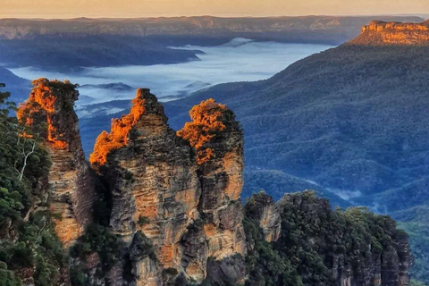 Sydney: Blue Mountains Steam Train Mercedes Sprinter Tour