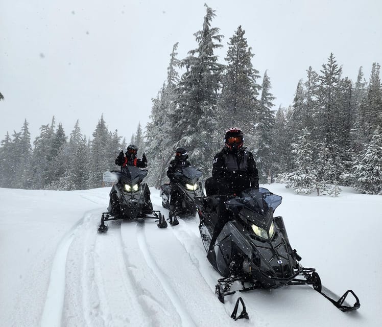 Bend: Guided Snowmobile Tours In National Volcanic Monument | GetYourGuide