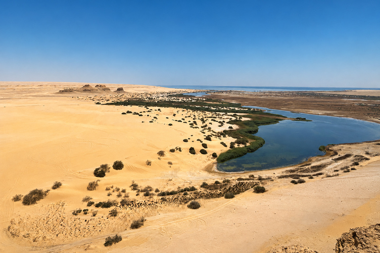From Cairo: 4x4 Desert Safari, Waterfalls & Magic Lake Shared Tour: Wadi El Rayan, Magic Lake & Lake Qarun, Jeep