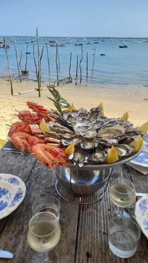 Cap-Ferret with Oysters Tasting