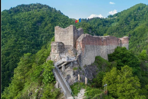 Från Bukarest: Făgăraș-bergen och björnskådning