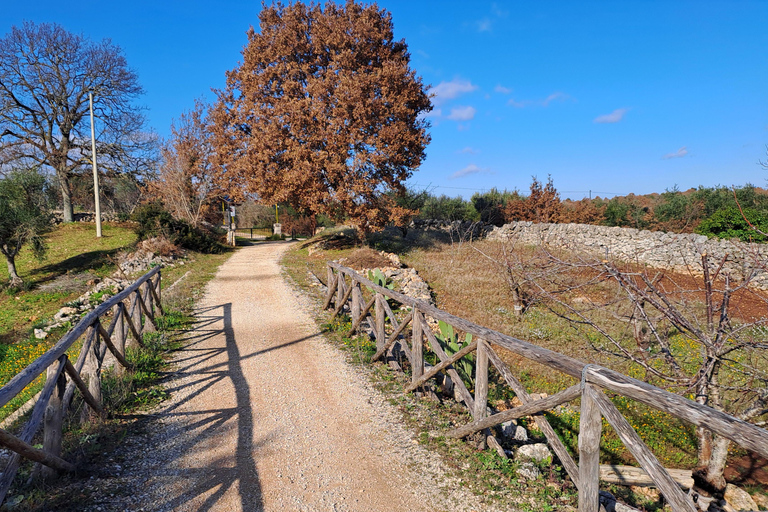 Locorotondo and Cisternino: E-Bike Tour with Ice Cream Departure from Locorotondo