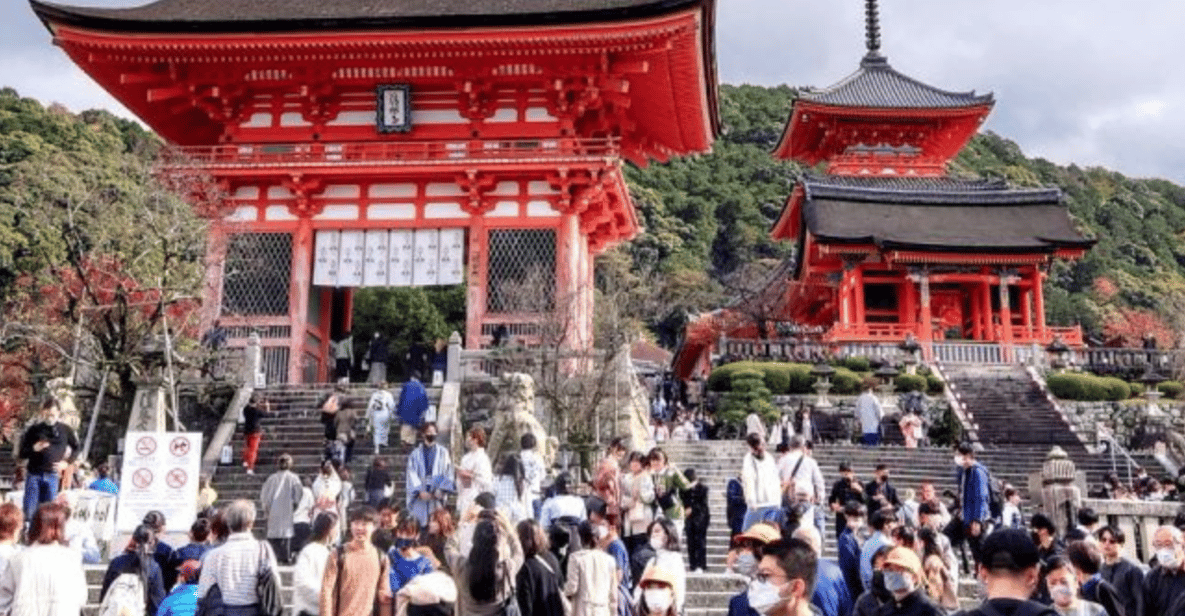 京都:ユネスコ世界遺産と史跡を巡る終日プライベートカーツアー | GetYourGuide