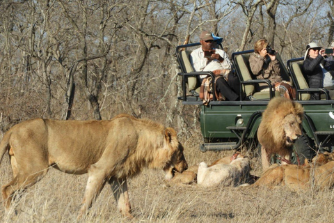 Kruger Park: 5-Day Kruger Park and Manyeleti Safari Tour