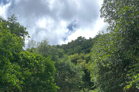 Rincon Beach och Cayo Levantado från Punta Cana