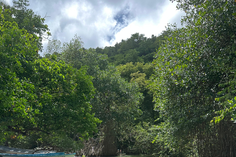 Rincon Beach och Cayo Levantado från Punta Cana