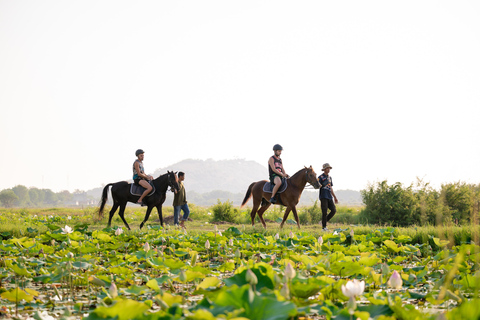 Siem Reap: Horseback Ride with Tour Guide at Phnom Krom (1 hour) Horseback Ride with Tour Guide