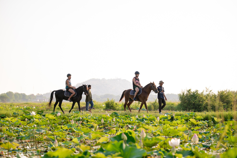 Siem Reap: Horseback Ride with Tour Guide at Phnom Krom (1 hour) Horseback Ride with Tour Guide