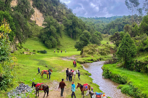 From Addis Ababa: Wenchi Crater Lake Homestay 2-Day Tour