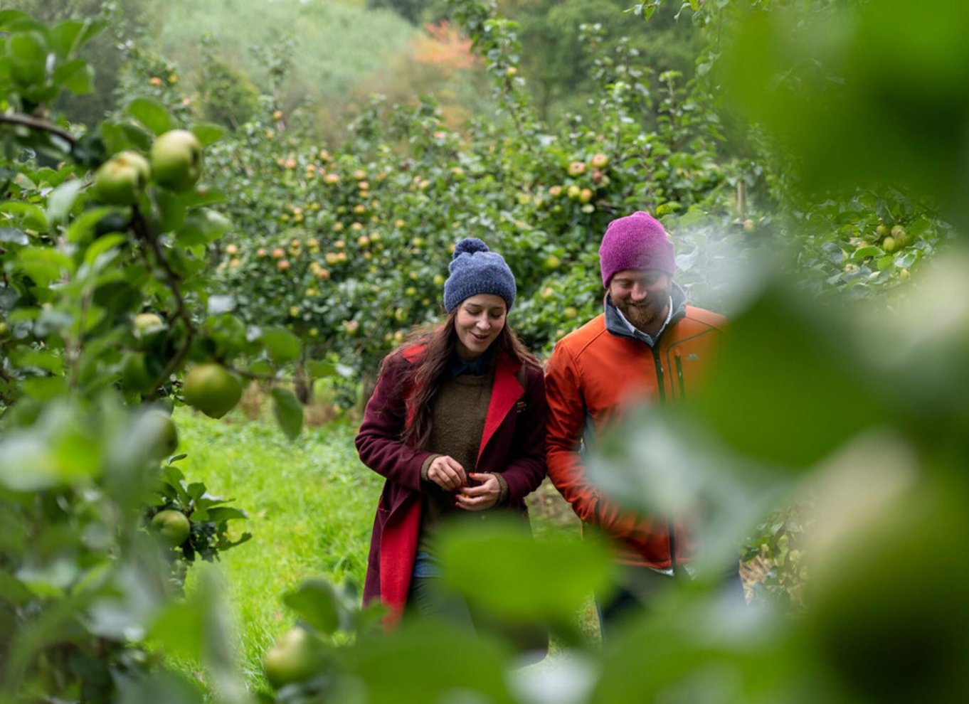 County Armagh: Tur fra blomst til flaske med smagning