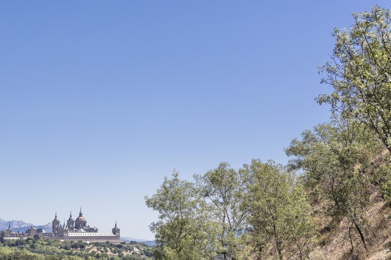 El Escorial & Basilika im Tal der Gefallenen: FührungZweisprachige Tour - Englisch bevorzugt