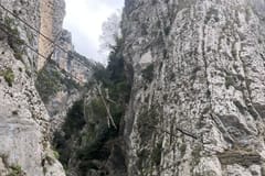 Ab Durrës/Golem: Abenteuertour durch die Holta-Schlucht