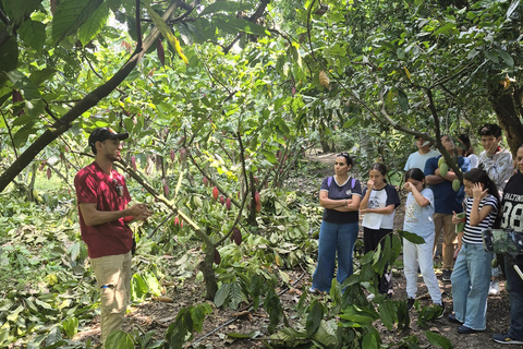 Finca Cacao & Chocolate Tour in Valle del Cauca English Version saturday & sunday