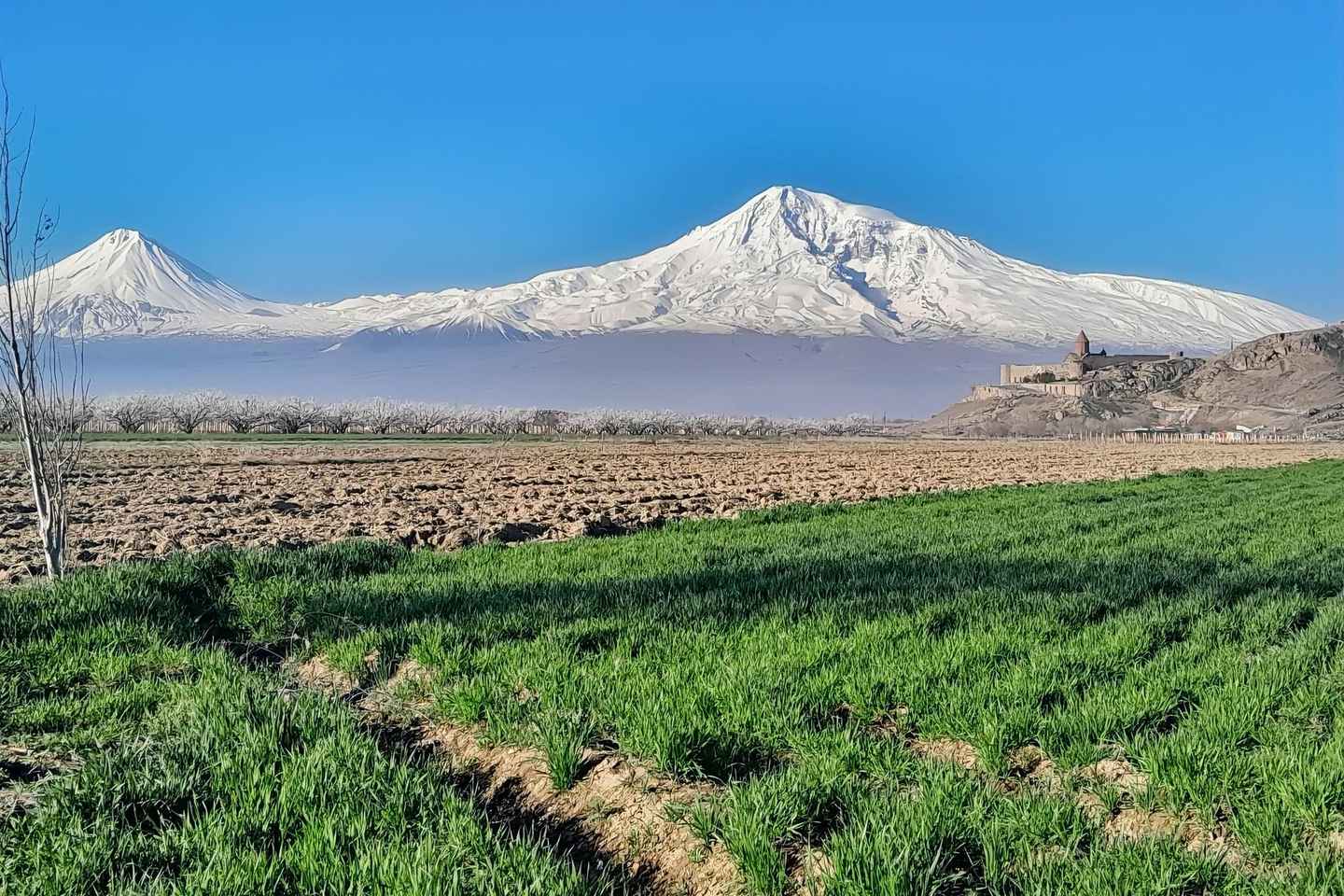 Private Day Trip to Jermuk, Noravank & Khor Virap