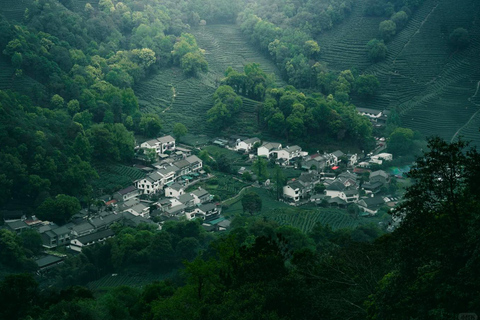 Wuxi: Hangzhou Nine Creeks & Longjing Tea Village Day Trip