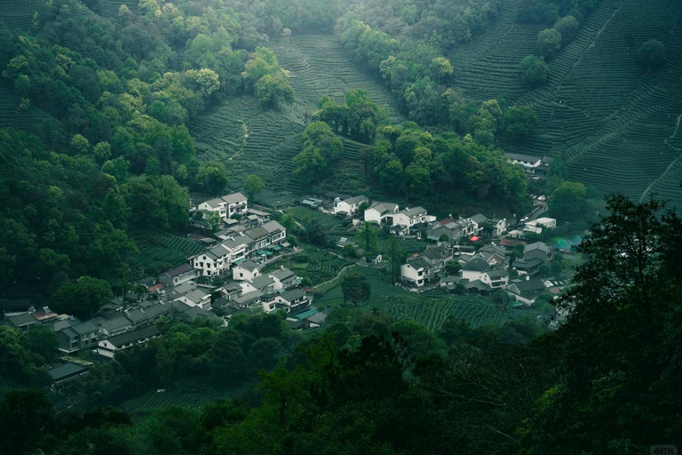 Wuxi: Hangzhou Nine Creeks & Longjing Tea Village Day Trip