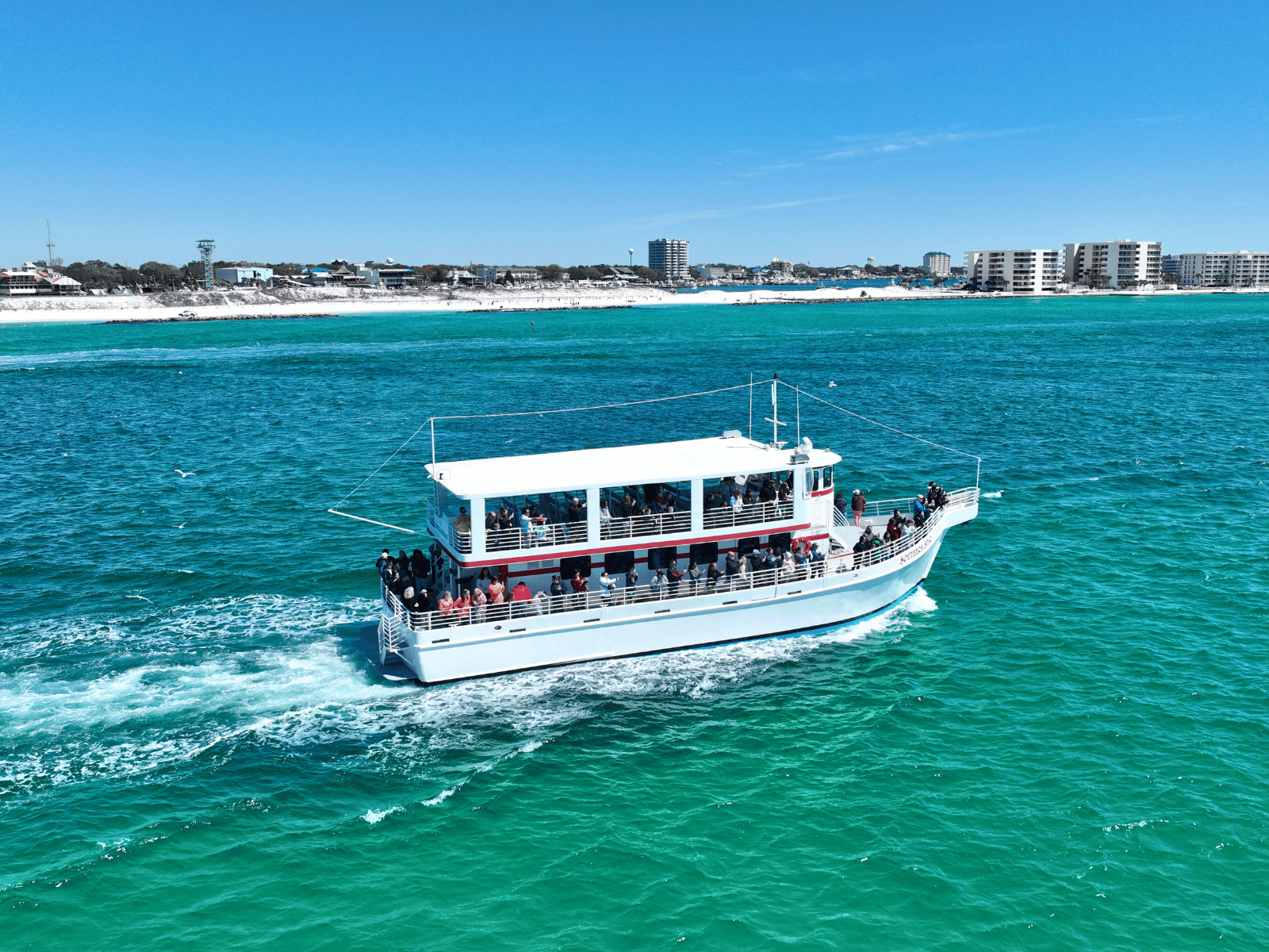 Destin: Delfinbeobachtungs-Bootstour an Bord der „Southern Star“