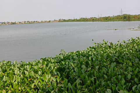 Accra: 5 Days Nature, History, Safari, Culture, Local Tour