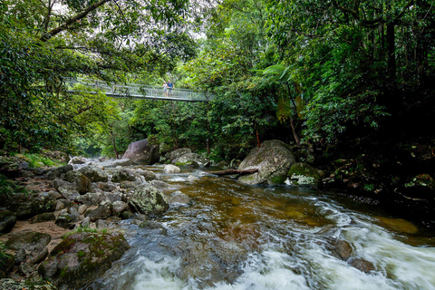 Cairns: Daintree and Mossman Gorge Tour with Cruise OptionTour With Crocodile Cruise