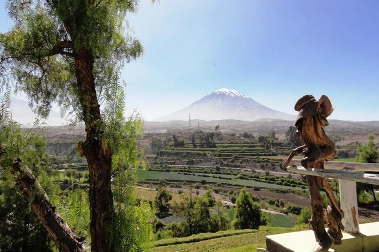 AREQUIPA: HALBTÄGIGE PANORAMISCHE STADTRUNDFAHRT