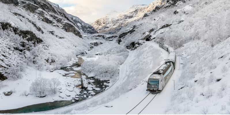 Tour invernale Villaggio vichingo, crociera sul Nærøyfjord e ferrovia di Flåm
