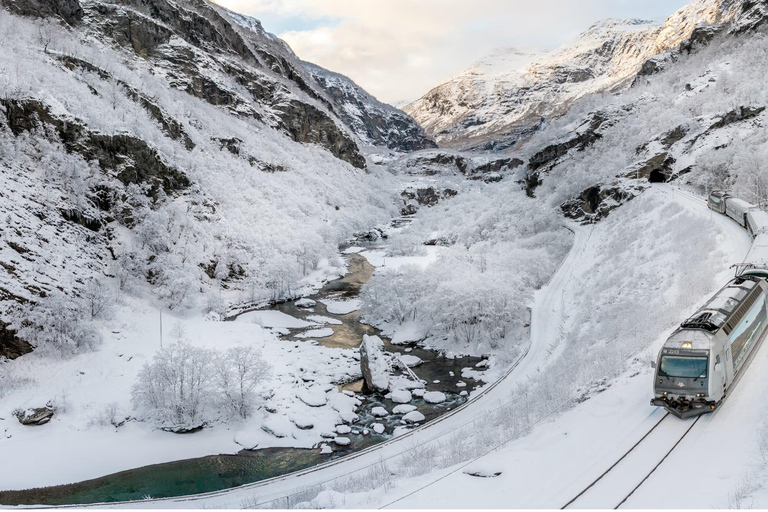 Tour invernale Villaggio vichingo, crociera sul Nærøyfjord e ferrovia di FlåmTour invernale al villaggio vichingo, crociera sul Nærøyfjord e ferrovia di Flåm