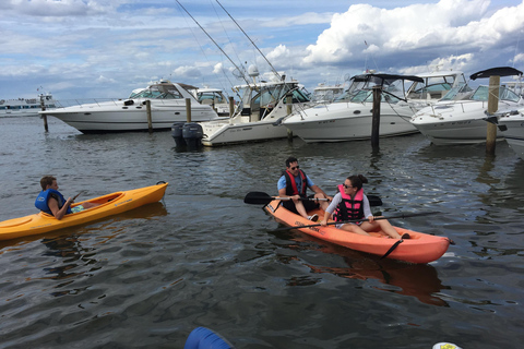 Key Largo: Mangrove Kayak Rental (Single or Double Kayaks)