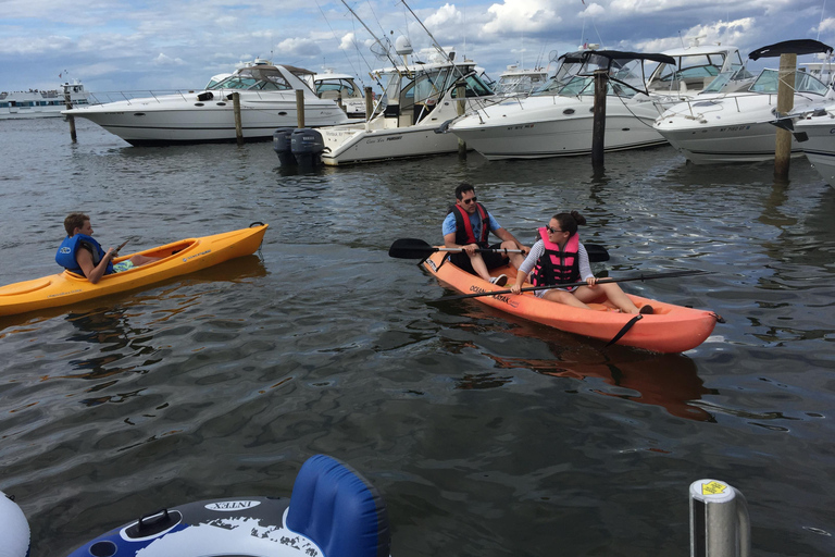 Key Largo: Mangrove Kayak Rental (Single or Double Kayaks)