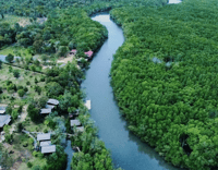 Mangrove Day Tour - Bintan - Housity