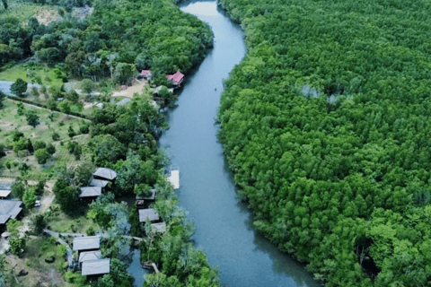 Mangrove Day Tour - Bintan Fireflies Night Tour - Bintan