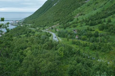 Dagtrip naar het eiland Senja met Chinese en Engelse gids