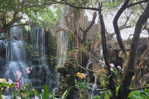 Chiang Mai:Wat Pha Lat,Doi Suthep&Sticky Waterfall Day Trip