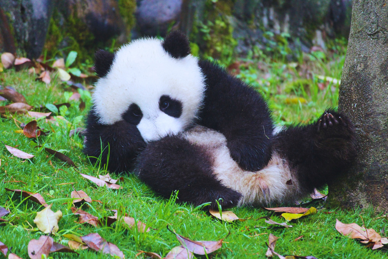 Beijing: Summer Palace Guided Tours & Top Park Combos Private Summer Palace & Old Summer Palace Park Walk Tour