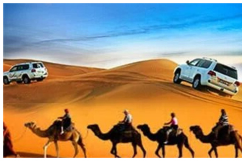 Doha: Half Day Desert Safari With Camel Ride &amp; Sand Boarding