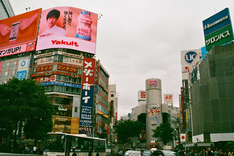 Tokyo: Private 1-Day Tour with English-Driver, Customizable