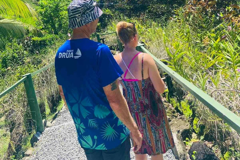 Fiji: Nadi Culture & Wellness Tour with Mud Pools & Garden Nadi Culture & Wellness Tour - Pick Up InterContinental